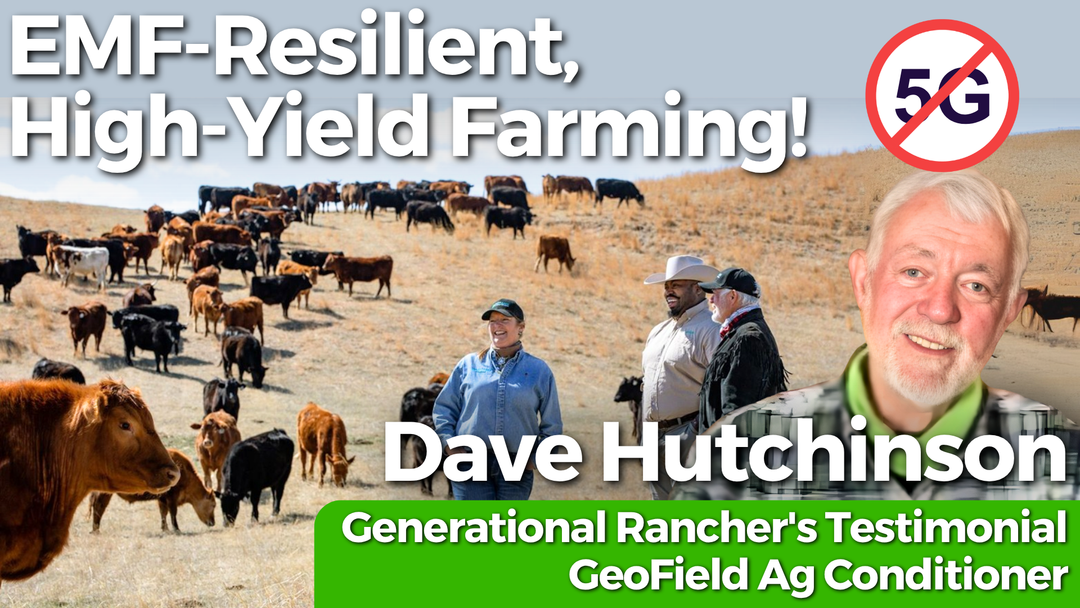 Why This 5,000-Acre Nebraska Rancher Says EMFs Are Hurting Livestock — And What He Did About It