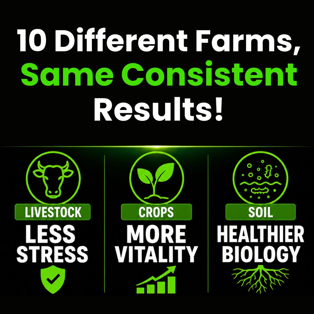 How 10 Farms Transformed with EMF Protection: Science-Backed Results for Healthier Crops, Animals & Farmers