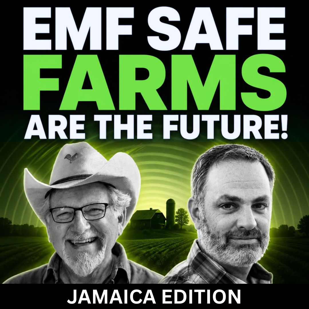 WATCH: Dr Will Winter and Dan Stachofsky talk farming in Jamaica with the Geofield Conditioner