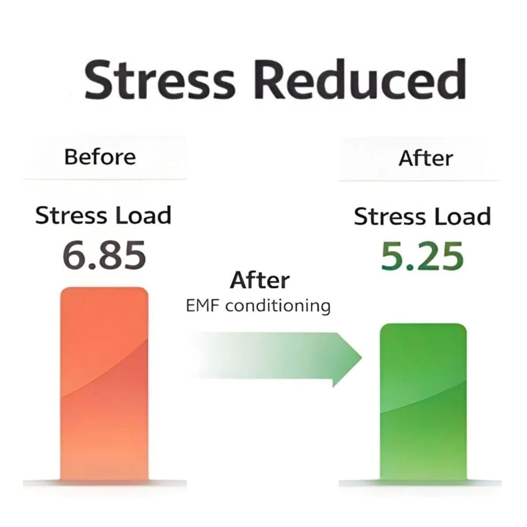 Measured Proof: Bio-Well Scan Shows How Essential Energy Supports EMF Health