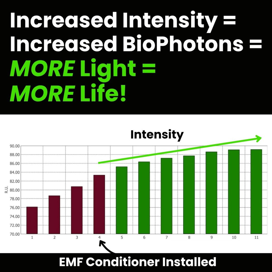 Are EMFs Hurting Your Farm? Case Study Shows How Energy Was Restored