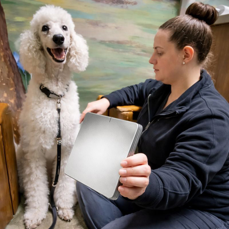 Live Blood Analysis: Improved Red Blood Cell Structure and Reduced Aggregation After 10 Minutes With Essential Max