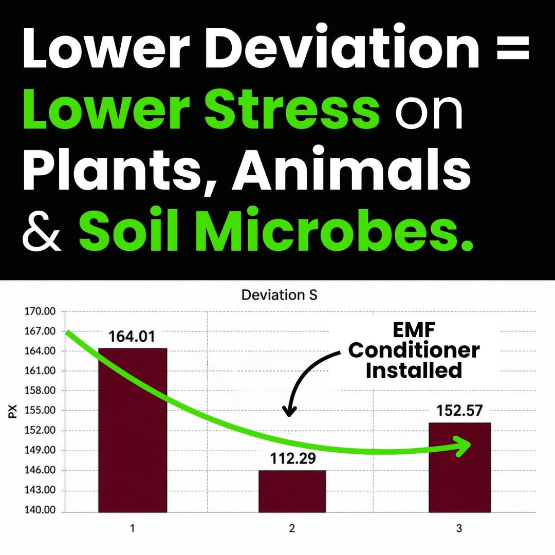Measurable Proof: EMF Harmonization on Ranch Improves Outcomes