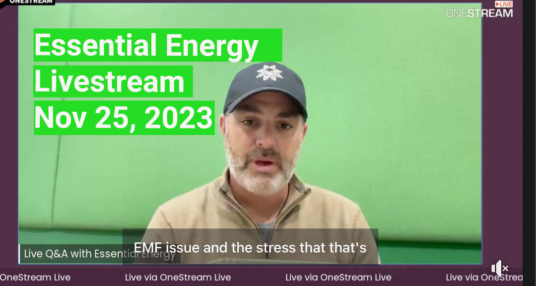 Livestream - November 25, 2023
