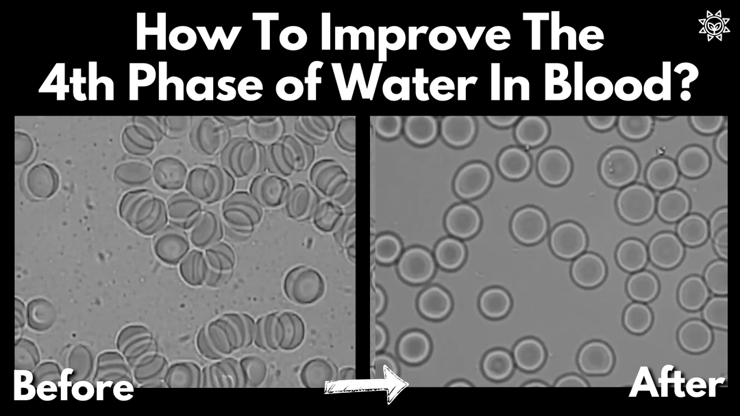 Improve The 4th Phase of Water In Blood