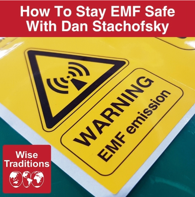 How To Stay EMF-Safe: Key Lessons From Dan Stachofsky’s Wise Traditions Podcast