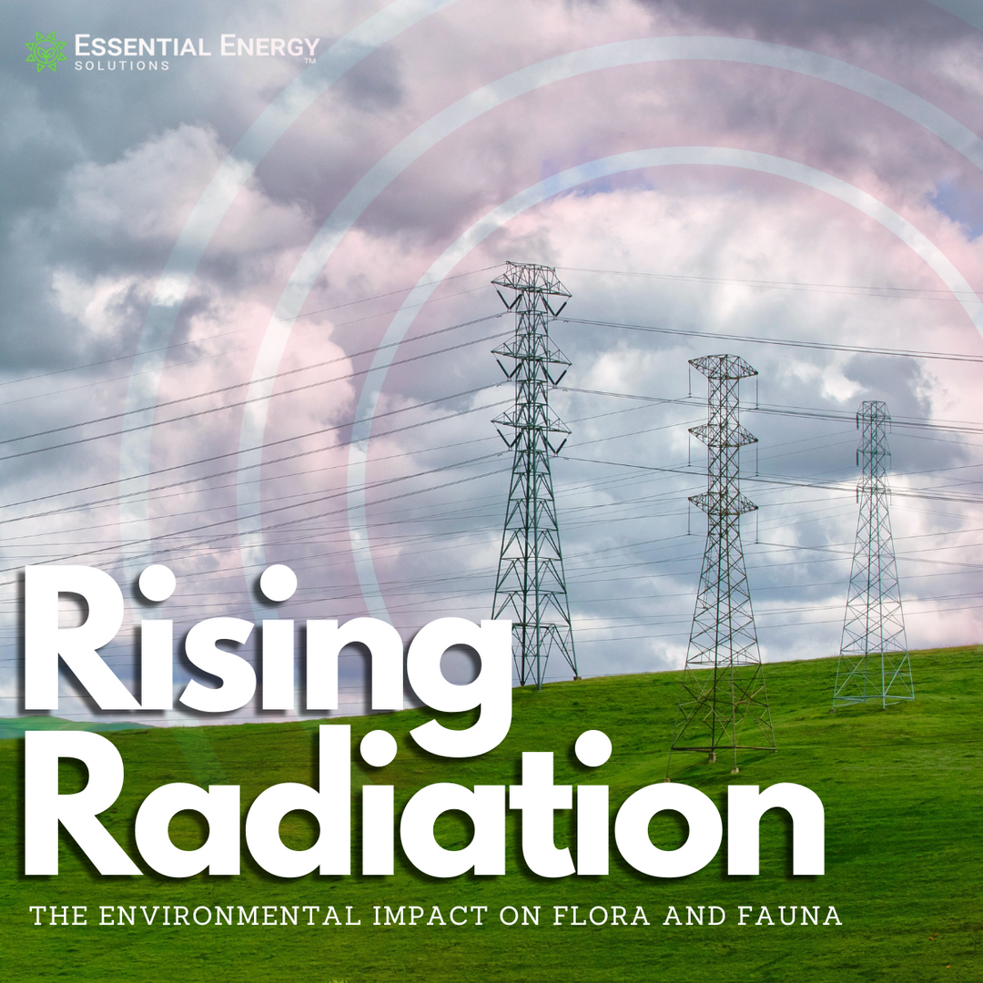 Rising Radiation (EMF) & It's Environmental Impact on Flora and Fauna 