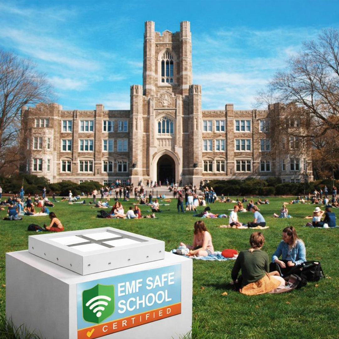 Measured Proof: Within 24 Hours, This School Environment Was Conditioned for Kids’ Focus, Sleep, and Stress