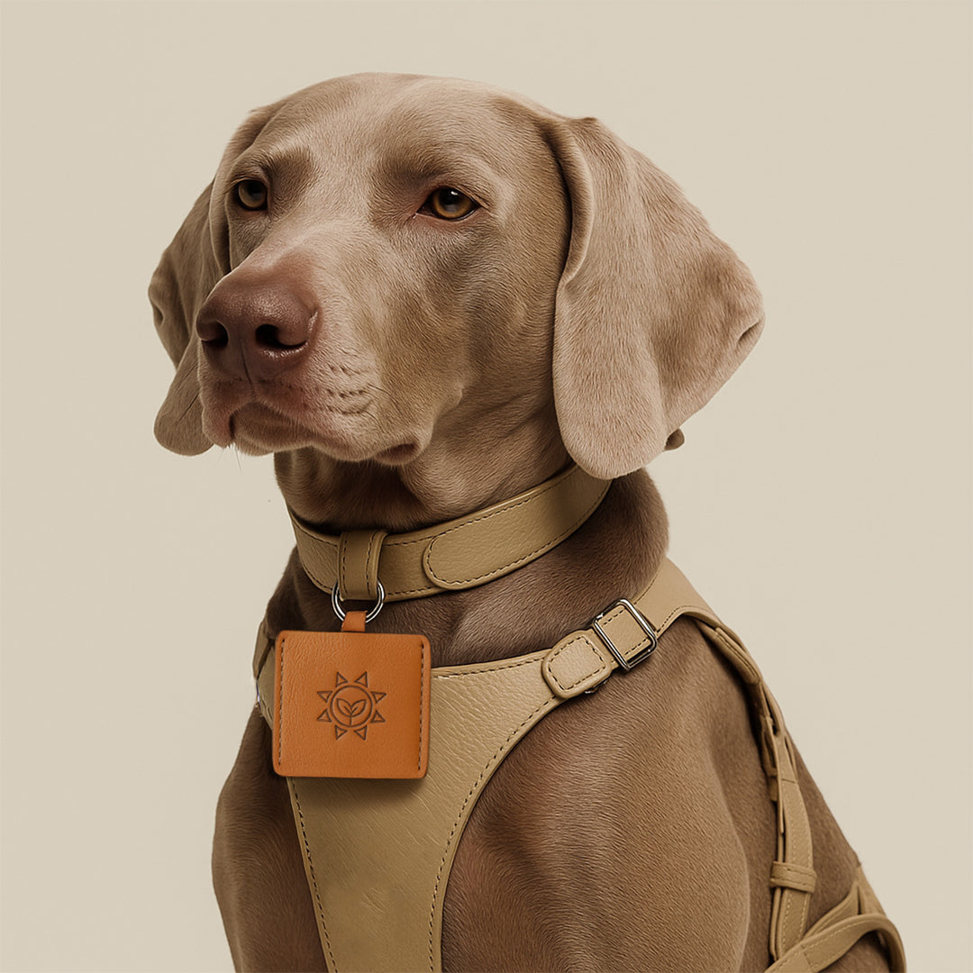 Accessory: Protective Leather Sleeve for L.I.F.E. Energy Plates