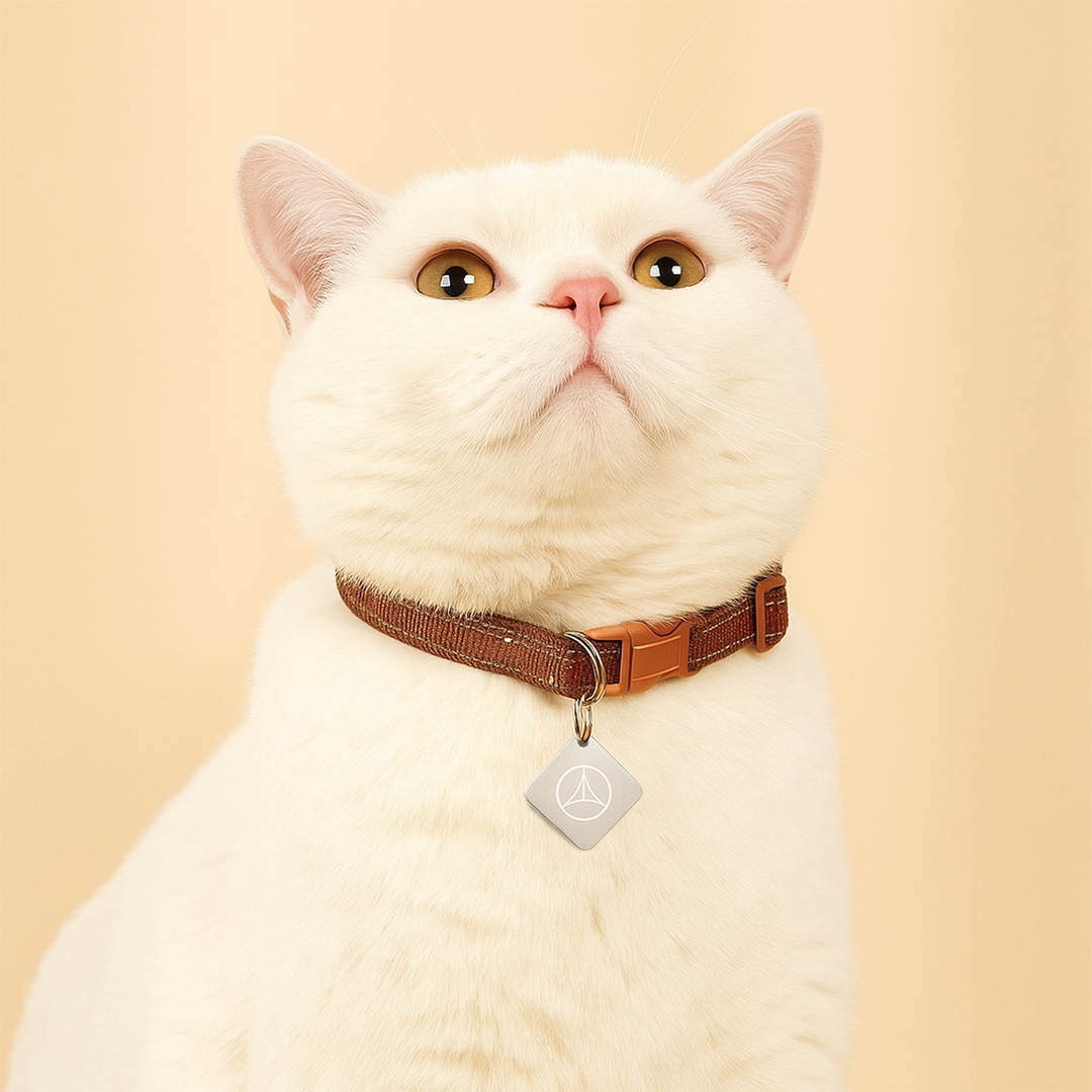 Essential FLOW Pendant