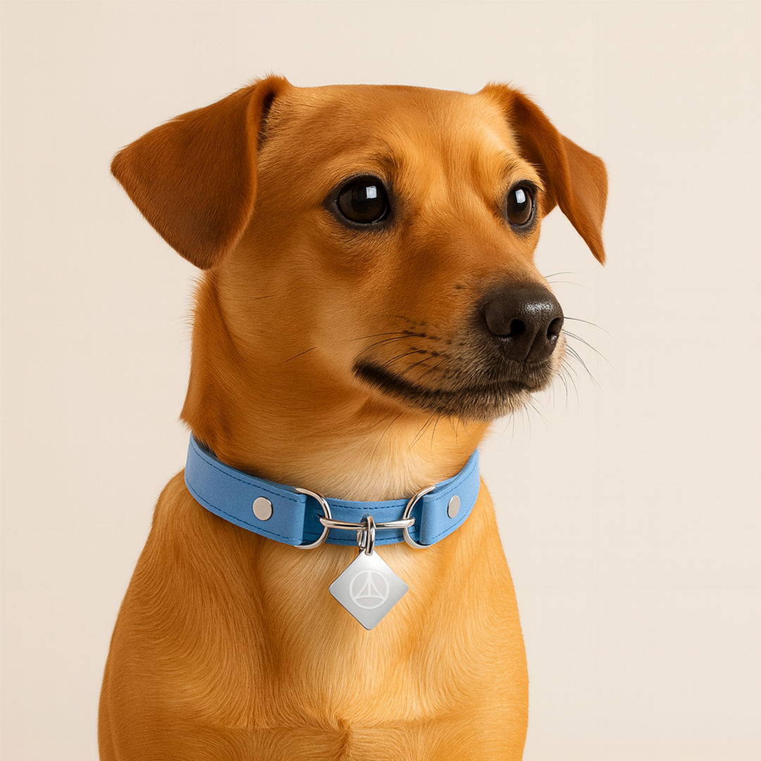 Essential FLOW Pendant