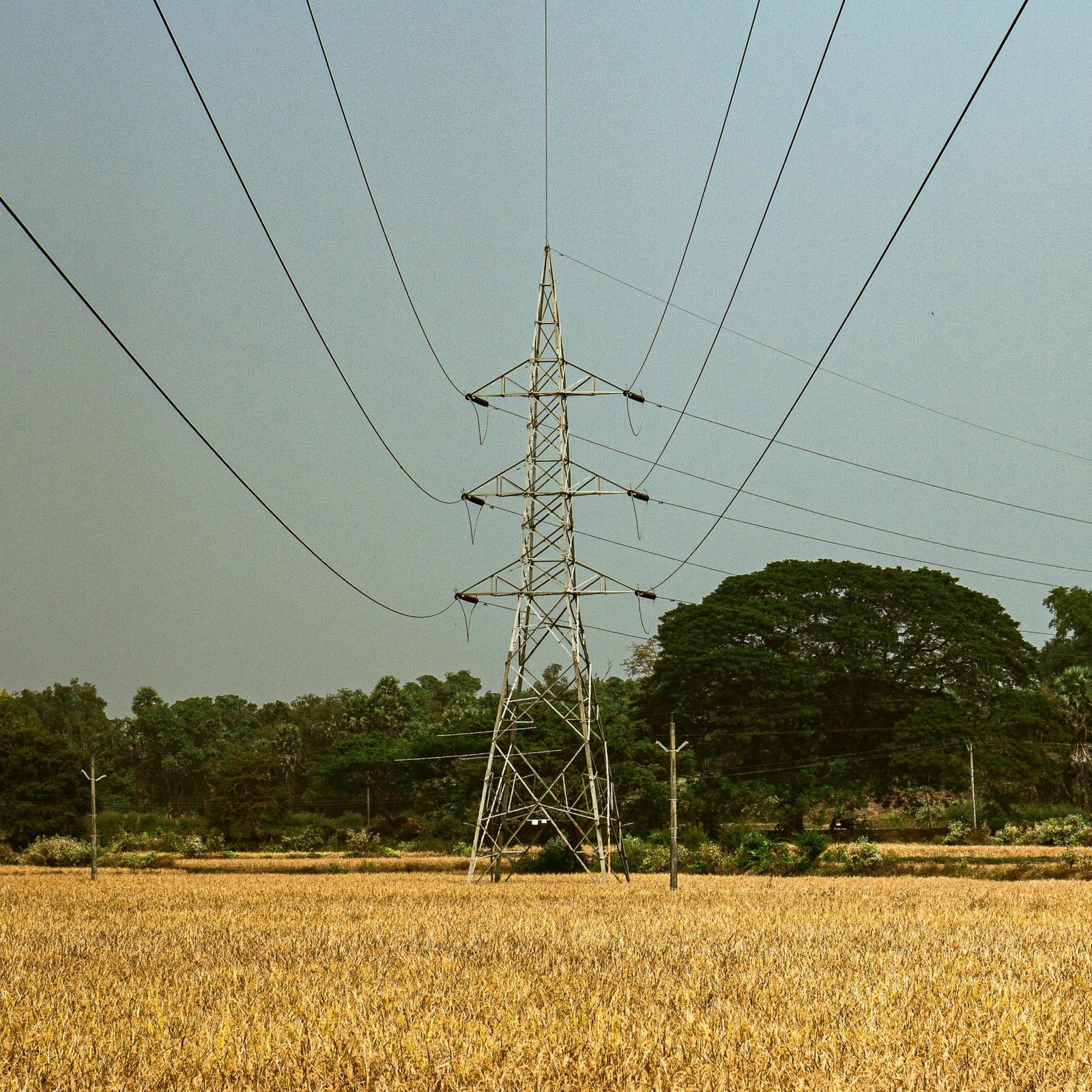 Power Lines