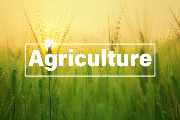 an image with nature background and agriculture text on the top