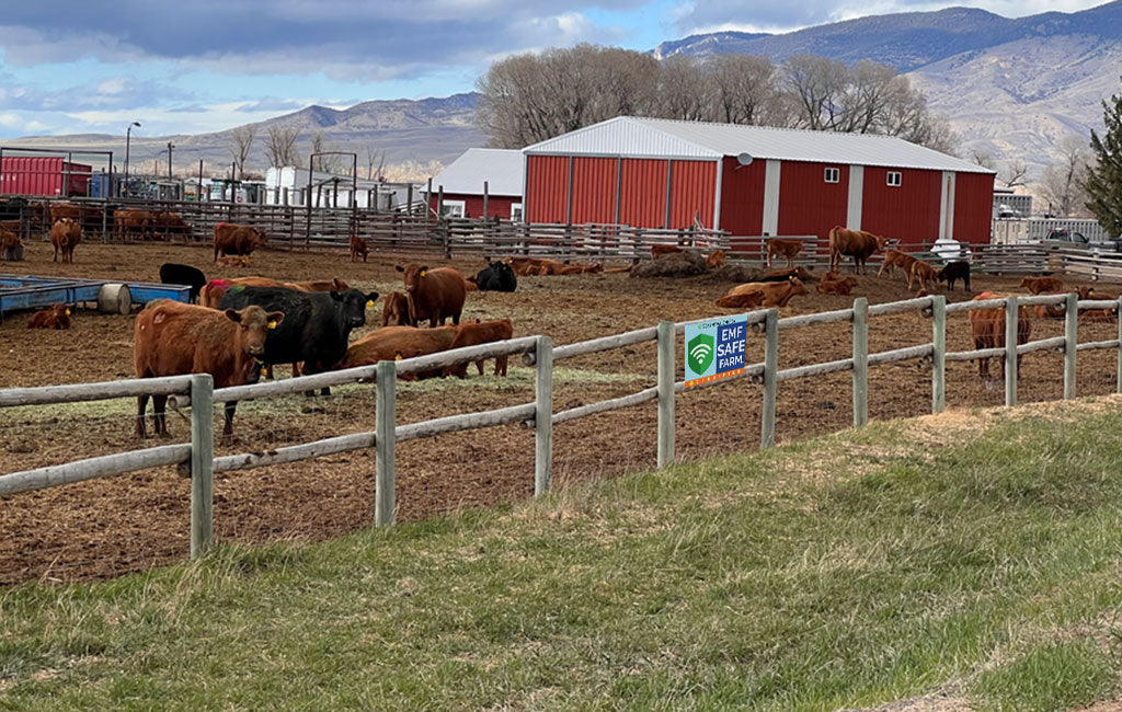 GEOFIELD PRO FARM GUARD EMF Conditioner